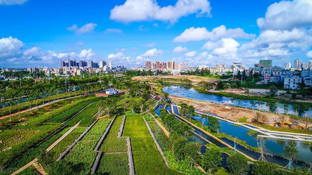 雨水收emc易倍体育(中国)官方网站集系统更易于管理和实施雨水净化(图1)