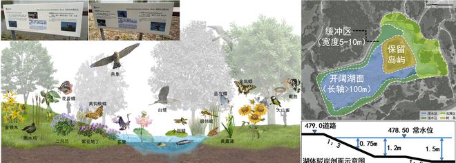 emc易倍体育(中国)官方网站风景园林与旅游类 2019北京世园会自然生态展示区园林景观工程设计(图5)