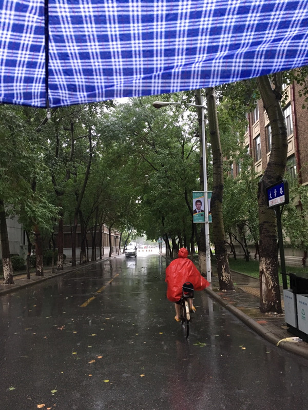 emc易贝体育登录天津大学建设“海绵校园” 构筑生态雨洪管理系统(图2)