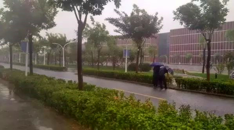 emc易贝体育登录天津大学建设“海绵校园” 构筑生态雨洪管理系统(图3)